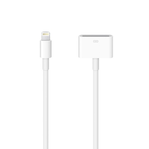 Apple MD824ZM/A Lightning to 30-pin Adapter (0.2 m)