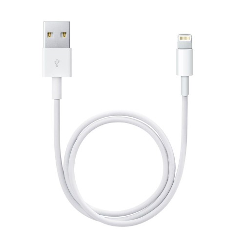 Apple ME291ZM/A Lightning to USB Cable (0.5 m)